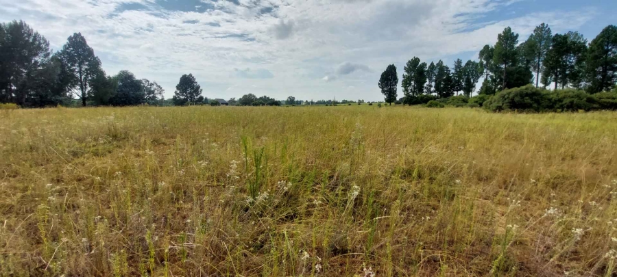 0 Bedroom Property for Sale in Willow Creek Riverfront Residential Estate Free State